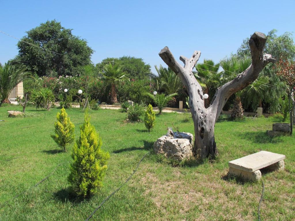 Agriturismo Casa Colonica Liliane ポルト・チェザーレオ 部屋 写真